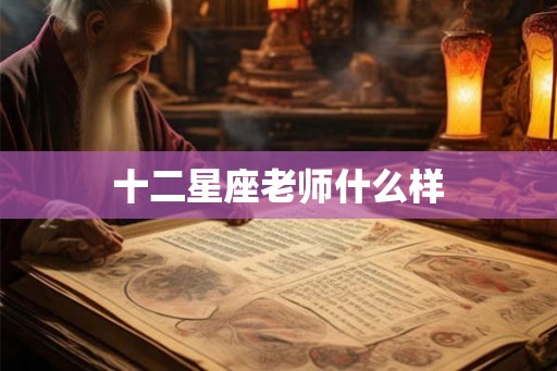 十二星座老师什么样