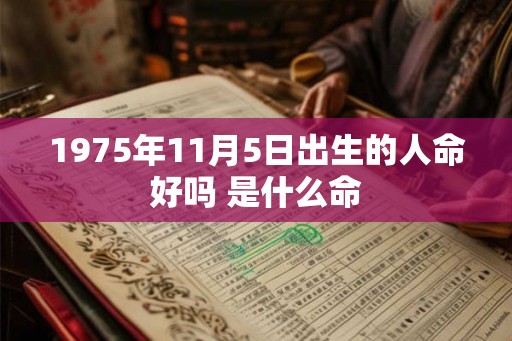 1975年11月5日出生的人命好吗 是什么命