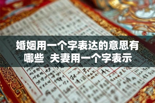 婚姻用一个字表达的意思有哪些  夫妻用一个字表示