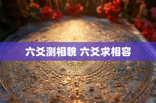 六爻测相貌 六爻求相容