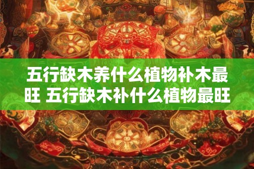五行缺木养什么植物补木最旺 五行缺木补什么植物最旺
