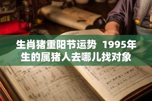 生肖猪重阳节运势  1995年生的属猪人去哪儿找对象
