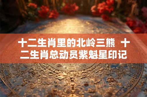 十二生肖里的北岭三熊  十二生肖总动员紫魁星印记
