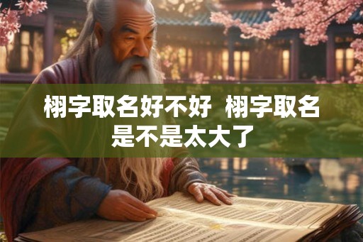 栩字取名好不好  栩字取名是不是太大了