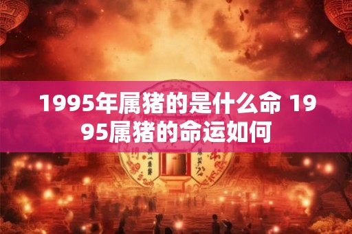 1995年属猪的是什么命 1995属猪的命运如何 1995年属猪的是什么命 1995属猪的命运如何