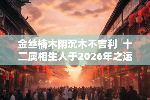 金丝楠木阴沉木不吉利 十二属相生人于2026年之运图 金丝楠木阴沉木不吉利 十二属相生人于2026年之运图
