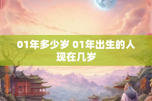01年多少岁 01年出生的人现在几岁