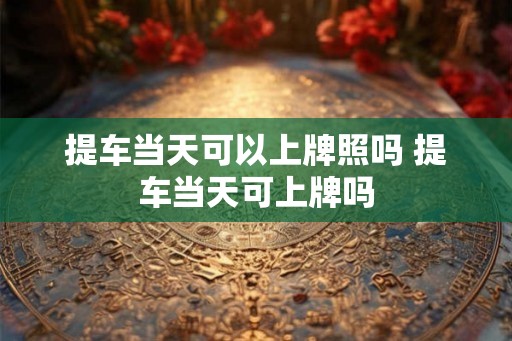 提车当天可以上牌照吗 提车当天可上牌吗