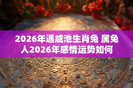 2026年遇咸池生肖兔 属兔人2026年感情运势如何