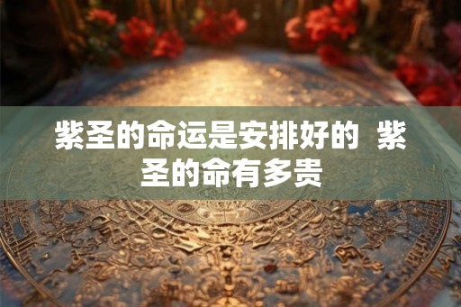紫圣的命运是安排好的 紫圣的命有多贵 紫圣的命运是安排好的 紫圣的命有多贵