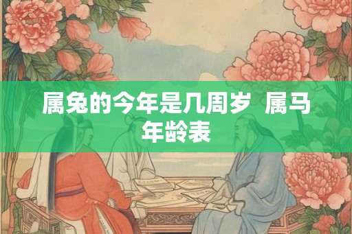 属兔的今年是几周岁  属马年龄表