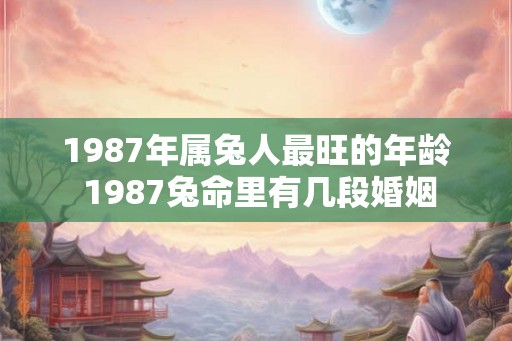 1987年属兔人最旺的年龄 1987兔命里有几段婚姻