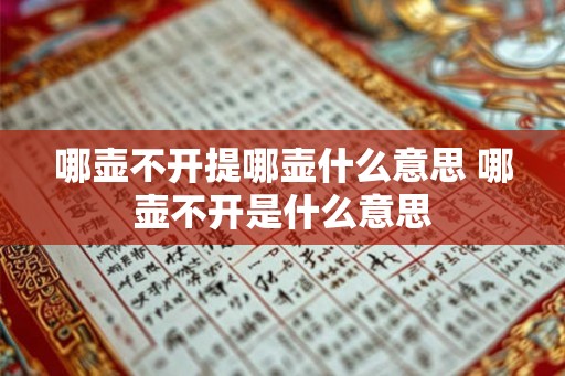 哪壶不开提哪壶什么意思 哪壶不开是什么意思