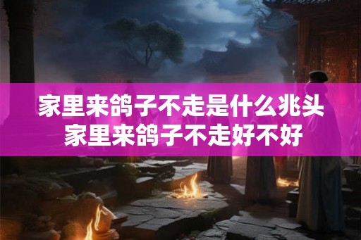 家里来鸽子不走是什么兆头 家里来鸽子不走好不好