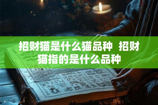 招财猫是什么猫品种  招财猫指的是什么品种