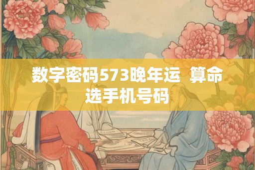 数字密码573晚年运  算命选手机号码