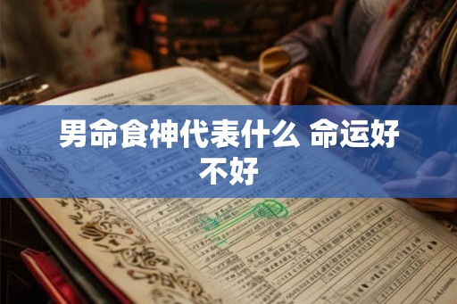男命食神代表什么 命运好不好