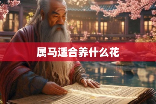 属马适合养什么花