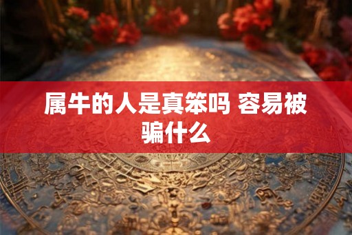 属牛的人是真笨吗 容易被骗什么