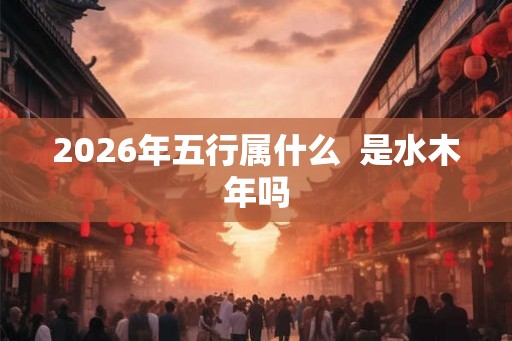 2026年五行属什么  是水木年吗