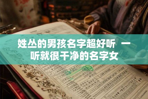 姓丛的男孩名字超好听 一听就很干净的名字女 姓丛的男孩名字超好听 一听就很干净的名字女
