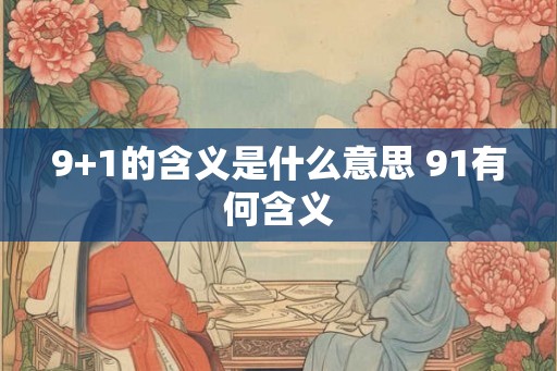 9+1的含义是什么意思 91有何含义
