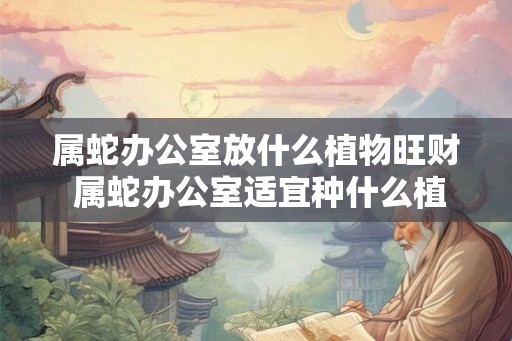 属蛇办公室放什么植物旺财 属蛇办公室适宜种什么植物招财 属蛇办公室放什么植物旺财 属蛇办公室适宜种什么植物招财