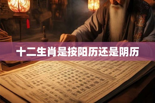 十二生肖是按阳历还是阴历