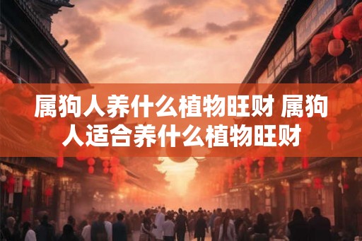 属狗人养什么植物旺财 属狗人适合养什么植物旺财 属狗人养什么植物旺财 属狗人适合养什么植物旺财
