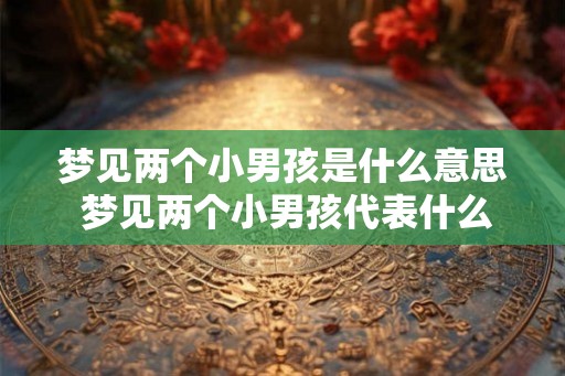 梦见两个小男孩是什么意思 梦见两个小男孩代表什么 梦见两个小男孩是什么意思 梦见两个小男孩代表什么