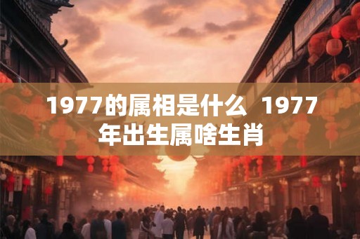 1977的属相是什么  1977年出生属啥生肖