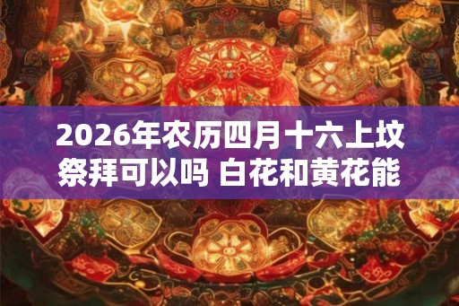 2026年农历四月十六上坟祭拜可以吗 白花和黄花能插在一起吗