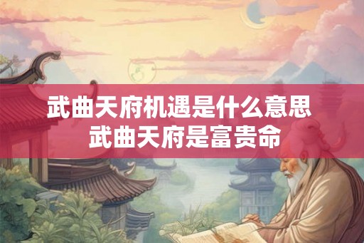 武曲天府机遇是什么意思  武曲天府是富贵命