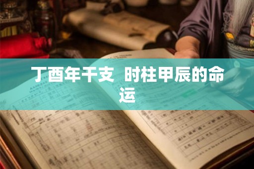 丁酉年干支  时柱甲辰的命运