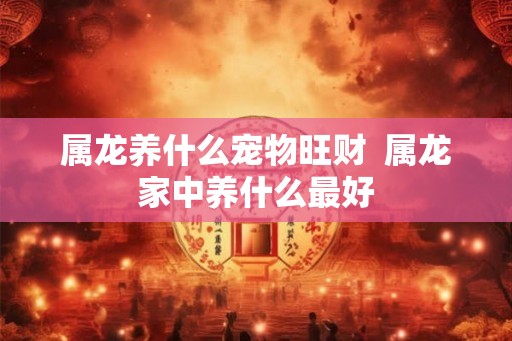 属龙养什么宠物旺财  属龙家中养什么最好