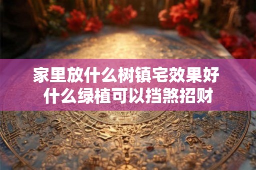 家里放什么树镇宅效果好 什么绿植可以挡煞招财