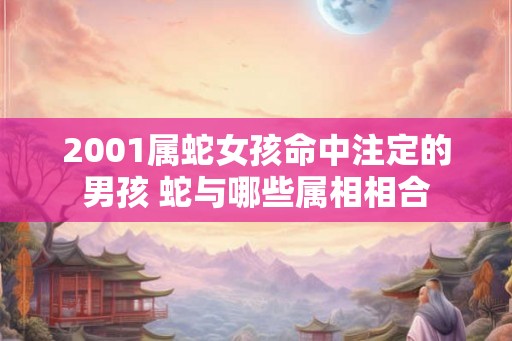 2001属蛇女孩命中注定的男孩 蛇与哪些属相相合