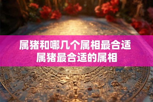 属猪和哪几个属相最合适 属猪最合适的属相