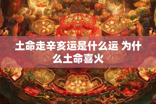 土命走辛亥运是什么运 为什么土命喜火