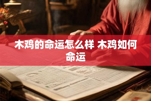 木鸡的命运怎么样 木鸡如何命运