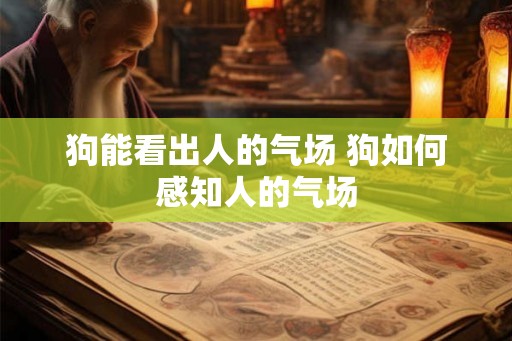 狗能看出人的气场 狗如何感知人的气场