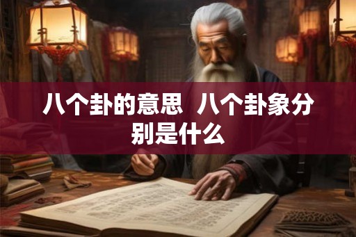 八个卦的意思  八个卦象分别是什么