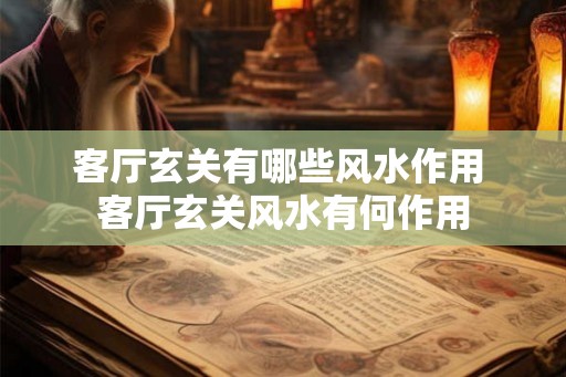 客厅玄关有哪些风水作用 客厅玄关风水有何作用