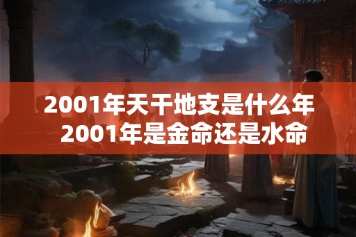 2001年天干地支是什么年  2001年是金命还是水命
