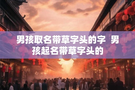 男孩取名带草字头的字  男孩起名带草字头的