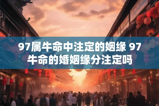 97属牛命中注定的姻缘 97牛命的婚姻缘分注定吗