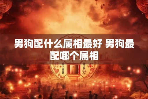 男狗配什么属相最好 男狗最配哪个属相