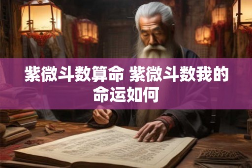 紫微斗数算命 紫微斗数我的命运如何
