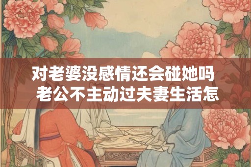 对老婆没感情还会碰她吗  老公不主动过夫妻生活怎么沟通