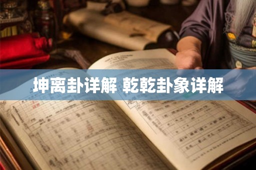 坤离卦详解 乾乾卦象详解 坤离卦详解 乾乾卦象详解